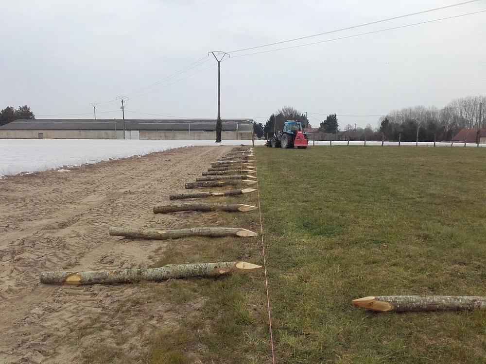 Pieux et piquets en bois Pieux et piquets en bois