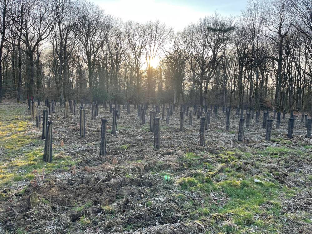 plantation 2 plantation 2